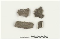 藏品(鐮葉蘚屬)的圖片